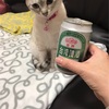 ビール飲みたいの？