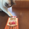 ポム。🐾