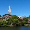 新宿御苑八重桜