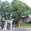 楠--北岡神社