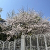 ラウンドした4月最初の週末