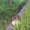 そちらの都合で変えられても