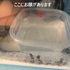 変な寝方～伸びすぎw