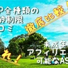 ASP全種類の比較、口コミや年齢制限のまとめ。未成年でもアフィリエイト可能なASPはこれ！