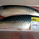 マウンテンミー（山と私）が血肉を蹴散らしながら右往左往する話