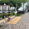 登別温泉はホテル宿泊③【北海道旅行想い出編】