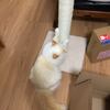 瞳、きらっきらです！