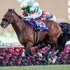 競馬初心者必見☆馬券予想🔥〜有馬記念〜一年を締めくくるビッグレース！！