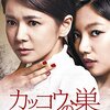 「カッコウの巣 DVD-SET6」愛憎渦巻く韓流ドラマ！ハマる理由と見どころを徹底レビュー