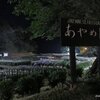 しばたあやめまつり2022（新発田市・五十公野公園）夜間ライトアップ(6/18)