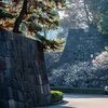 梅林坂に梅香る。
