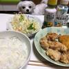 揚げ物祭りの産物！翌日の夕飯も同じメニュー！