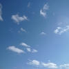 「初夢」今年の初夢は2本立て 今年叶えたい夢