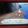 【ポケモンUSUM】ホモぉー