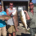 Gulf Shores Fishing Trip