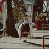 弾まないから弾ませるしかない。