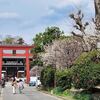梅宮神社　神苑で梅見＆猫探し