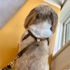 ビックリ顔もソックリ