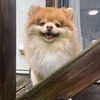 2023年7月2日🐾 今日のマヤ暦