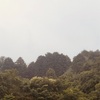 今朝の景色