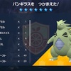 【ポケモンSV】最強のバンギラス【テラレイドバトル】