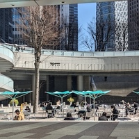 【JCA2025メインアワード】ナワブの日替わりランチ（ラムビリヤニ）をいただきました【新宿】