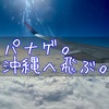 パナゲ。沖縄に飛ぶ。【アレンジレシピを考える。】