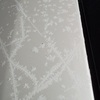 美しい霜の結晶