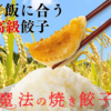 点心師が手包み！国産ブランド豚と本格技術が詰まった冷凍餃子の通販【魔法の焼き餃子】