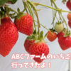 5歳息子とABCファームのいちご狩り行ってきたよ🍓！ー口コミー