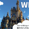 【WDW旅行記】フロリダサンシャイン！朝からマジックキングダムへ🎵