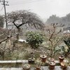 雪