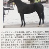 一口馬主の思い出