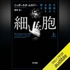 上皮細胞のターンオーバーと周期一覧