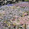 65才からの仕事は住む土地次第