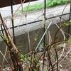 犯人を捕まえたと思ったら