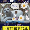 あけましておめでとうございます。 Happy New Year !!うさぎ年🐰