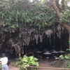 向山かおりさんも大好き☆沖縄旅行日記②  