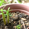 【貯金0円で妊娠が不安な人へ。私が一歩踏み出せた理由と、変わったマインド】