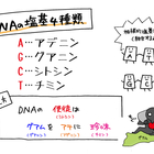 抗精神薬による主な錐体外路症状の覚え方 ジスパー 明石は小っせー字好き で覚えてみよう マンガで看護師国家試験にうかーる