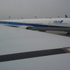 【アイドル航空】＜NH / LAX線♪＞