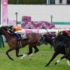 【桜花賞2024】ステレンボッシュ強すぎ