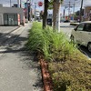 街をきれいに