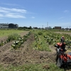 R6年7月31日