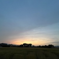 夕食後ちょっとだけ散歩