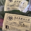 謎の野菜が現れた