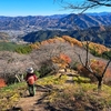 桜山の紅葉と冬桜