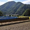 岩手県で楽しく暮らすには？～楽器演奏のすすめ・バイオリン楽しいよ！～