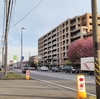 「気ままな散歩」　さくらの散歩道の、桜🌸の紹介(その２）