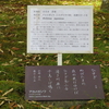 万葉歌碑を訪ねて（その１０７０）―奈良市春日野町　春日大社神苑萬葉植物園（３０）―万葉集　巻六　九二五
